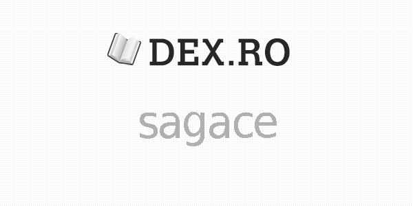 Dex sagace, sagace, definiţie sagace, dex.ro